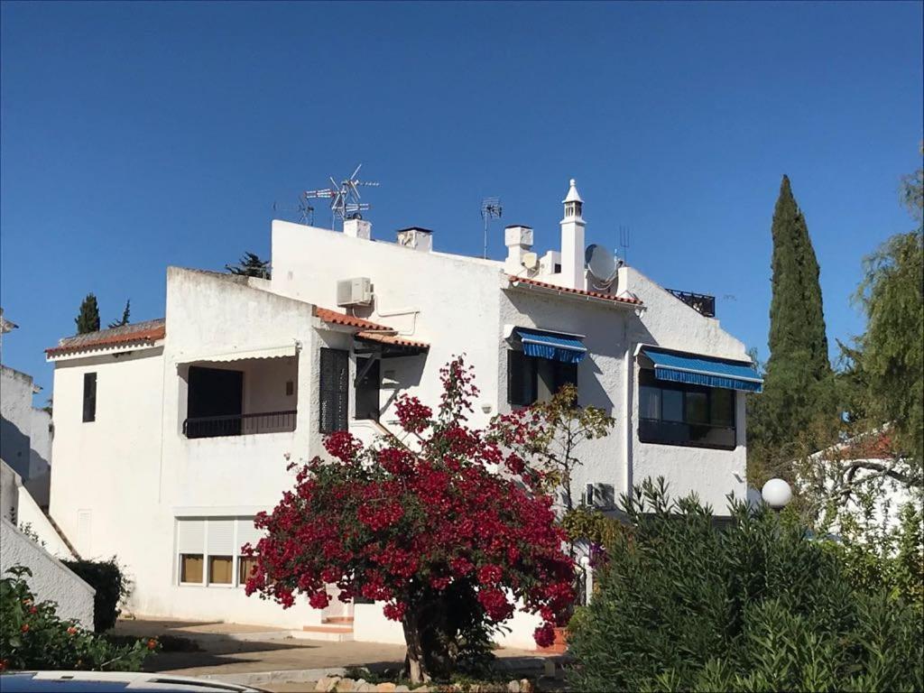 Apartmán T0 Pedras D'El Rei Tavira Pokoj fotografie